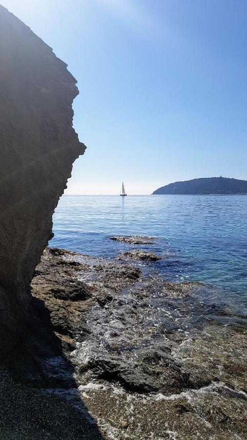 Studio 30 M2 500M Plages Mourillon 3 Personnes ตูลง ภายนอก รูปภาพ